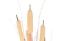 DKD Home Decor Planta de Junco Coral y Negro 35x35x115 cm
