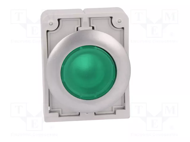 EATON ELECTRIC Interruptor de presión RMQ-Titan verde