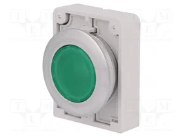 EATON ELECTRIC Interruptor de presión RMQ-Titan verde