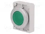EATON ELECTRIC Interruptor de presión RMQ-Titan verde