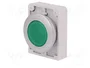 EATON ELECTRIC Interruptor de presión RMQ-Titan verde