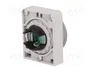 EATON ELECTRIC Interruptor de presión RMQ-Titan verde
