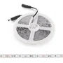 CA Tira LED 5M SMD5050 Azul Hielo 60W 2100Lm IP65
