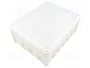OBO BETTERMANN T 250 Caja de conexiones gris claro IP66