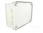 OBO BETTERMANN T 250 Caja de conexiones gris claro IP66