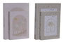DKD Home Decor Set de 2 Cajas para Libros Diseño Palmera Coral y Dorado