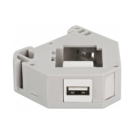 DeLOCK Adaptador de carril DIN con módulo Keystone USB 2.0 Tipo-A hembra a USB 2.0 Tipo-A hembra 87163