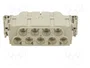 LAPP Conector HDC EPIC® H-K 008/0 MAS industrial