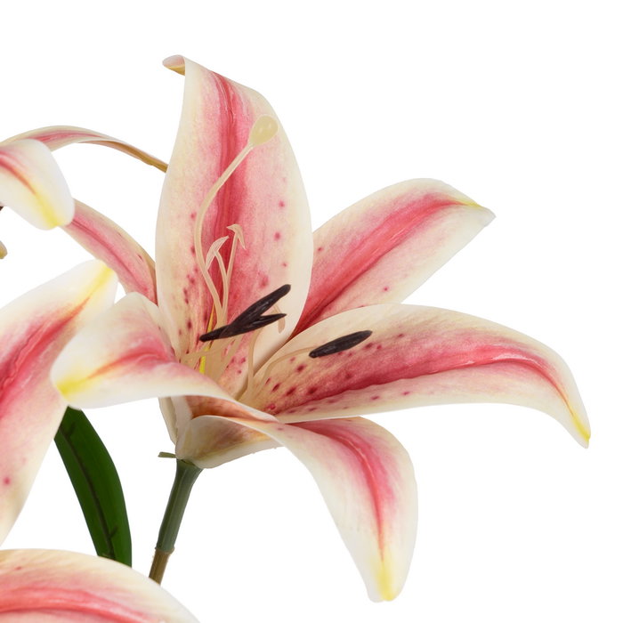 Flor Lirio Rosa Goma Decoración 58 cm (Set de 6)