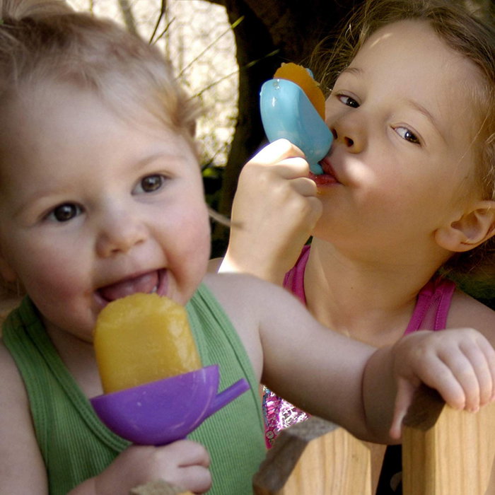 Privilege Molde 4 Polos, 21 cm Largo x 15.5 cm Ancho x 8.8 cm Alto (24 Unidades) Privilege Molde 4 Polos, 21 cm Largo x 15.5 cm Ancho x 8.8 cm Alto (24 Unidades)