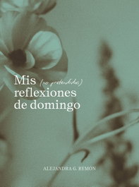Mis (no pretendidas) reflexiones de domingo, Alejandra G. Remón - LUNWERG EDITORES