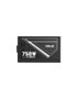 ASUS ATS-750G 750 W 80 PLUS Gold Totalmente Modular