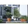 Elho Vibia Campana Terrasse 80 Jardinera Marrón L 77 x B 35 x H 33 cm Exterior 100% Reciclado