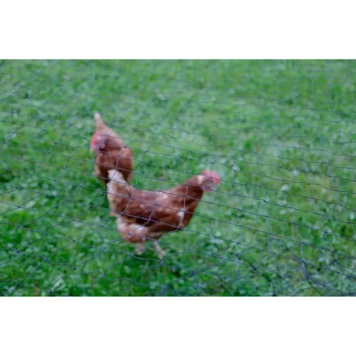 Kerbl KER4018653244074 Neta protectora para aves de corral, malla de 60 mm, 10 x 5 m, color negro