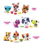Littlest Pet Shop Pack 3 Figuras Mascotas 6,35x25,4x6,35 cm Modelos Surtidos