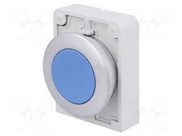 EATON ELECTRIC Interruptor de presión RMQ-Titan azul 30mm
