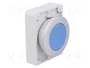 EATON ELECTRIC Interruptor de presión RMQ-Titan azul 30mm