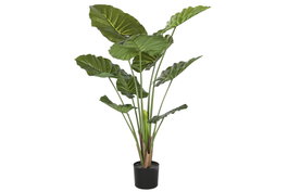 DKD Home Decor Planta Taro Verde 64x64x120 cm