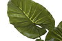 DKD Home Decor Planta Taro Verde 64x64x120 cm