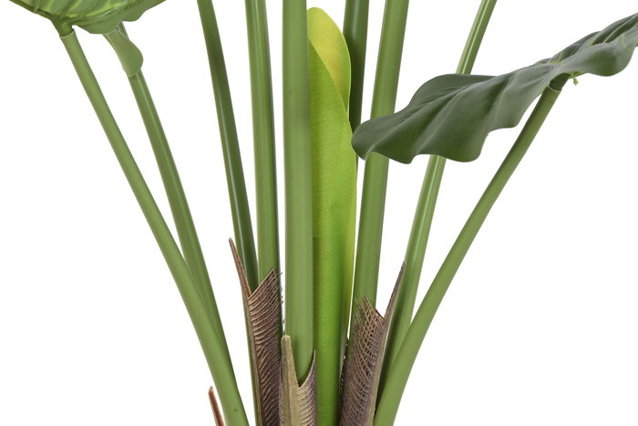 DKD Home Decor Planta Taro Verde 64x64x120 cm