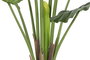 DKD Home Decor Planta Taro Verde 64x64x120 cm
