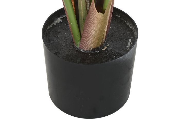 DKD Home Decor Planta Taro Verde 64x64x120 cm