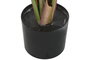 DKD Home Decor Planta Taro Verde 64x64x120 cm