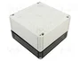 SPELSBERG TK PC 1818-11-TO Carcasa Universal Gris IP66