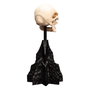 El Señor de los Anillos Estatua Skull of a Mordor Orc 14 cm