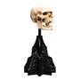 El Señor de los Anillos Estatua Skull of a Mordor Orc 14 cm
