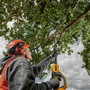 DeWalt DCMPS567N-XJ Podadora Telescópica a Batería 18V