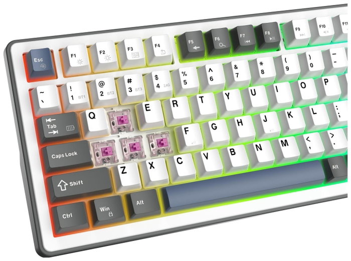 White Shark Excalibur Teclado Gaming KTT Wine Red RGB Hot-Swap Blanco