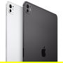 Apple iPad Pro 11 Wi-Fi + Cellular 256GB Plata 5.Gen. (M4)
