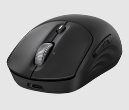 HP 705 Ratón Inalámbrico Recargable