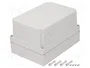 FIBOX MNX Carcasa Universal Gris ABS 180x255x150mm
