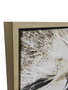 DKD Home Decor Cuadro Lienzo León Tigre Surtido de 2 Piezas
