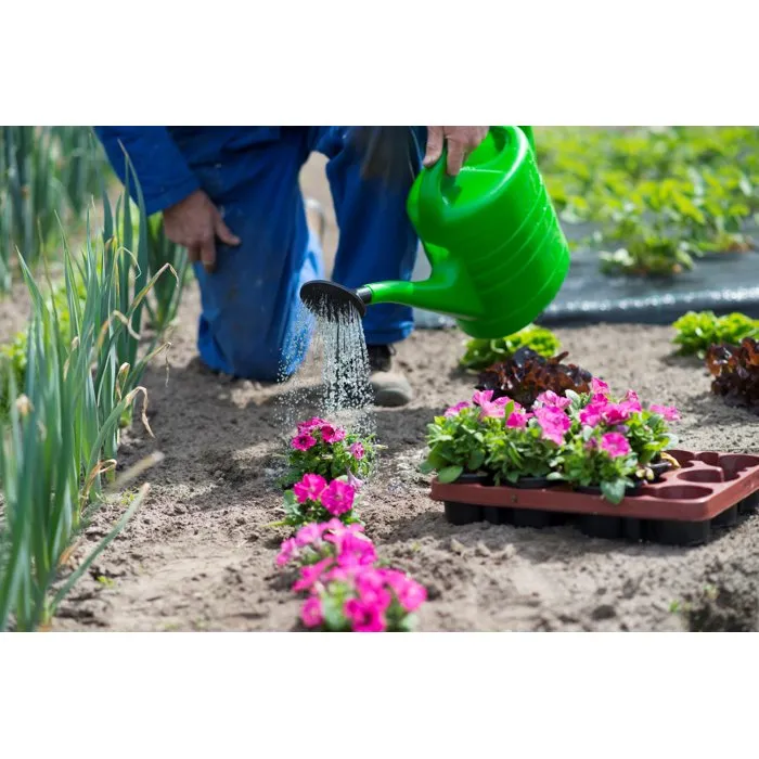 Nature Regadera Verde de Plástico PE 10 Litros Nature Regadera Verde de Plástico PE 10 Litros