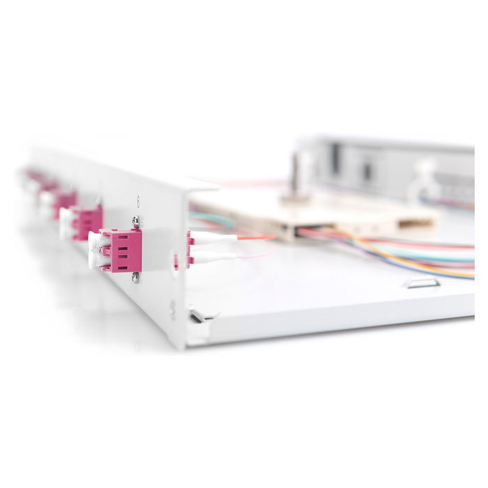 Digitus LWL Spleißbox 1HE bestückt 6x LC DX OM4 grau - Caja de empalme de fibra óptica 1U, Acero, Gris
