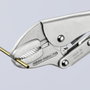 Knipex Grip Pliers