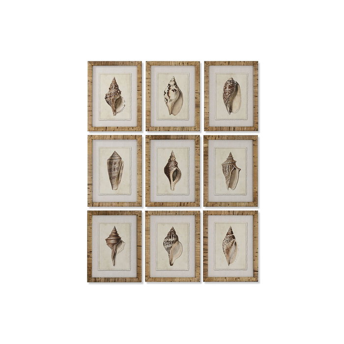 DKD Home Decor Cuadro Abeto Cristal 30x2,5x40 Caracola Surtido de 9 Piezas DKD Home Decor Cuadro Abeto Cristal 30x2,5x40 Caracola Surtido de 9 Piezas