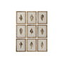 DKD Home Decor Cuadro Abeto Cristal 30x2,5x40 Caracola Surtido de 9 Piezas