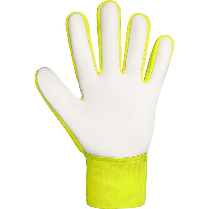 Guantes de Portero Reusch Attrakt Starter Amarillo Adultos S Guantes de Portero Reusch Attrakt Starter Amarillo Adultos S