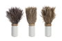 DKD Home Decor Set de Plantas de Flores Secas en Cristal, Surtido de 3 Colores
