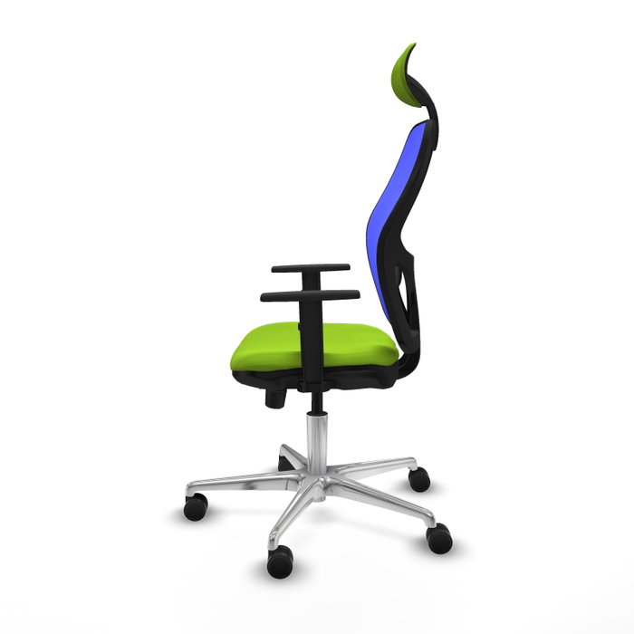 PIQUERAS Y CRESPO Silla de oficina Jorquera con mecanismo Sincro/Traslack, Pistacho y Azul PIQUERAS Y CRESPO Silla de oficina Jorquera con mecanismo Sincro/Traslack, Pistacho y Azul