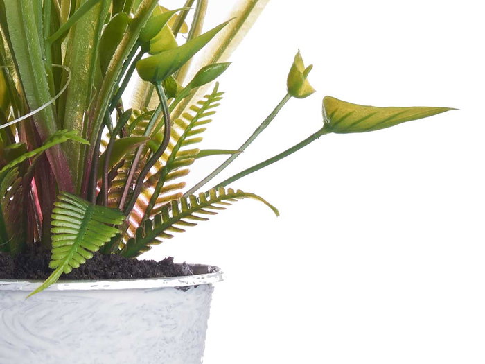 IBERGARDEN Planta Margarita Bote Metal Surtido 4