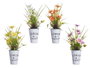 IBERGARDEN Planta Margarita Bote Metal Surtido 4