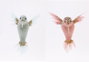 DKD Home Decor Figura Colibrí Surtido de 2 Unidades