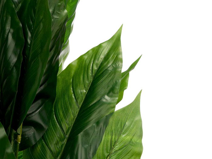 Ibergarden Maceta Redonda Planta Hoja Punta Gr Plastico Magnesio Verde 35x90x35 cm (Set de 4)