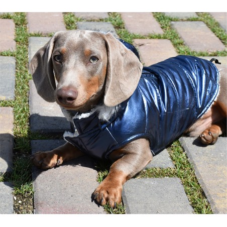 Nayeco Chaqueta con Capucha para Perros Planet Azul, Abrigo Impermeable con Borreguito Interior y Ojal Correa 35 cm