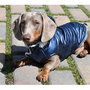 Nayeco Chaqueta con Capucha para Perros Planet Azul, Abrigo Impermeable con Borreguito Interior y Ojal Correa 35 cm